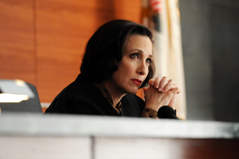Illustration for article titled The Good Wife motions to proceed with the TV season